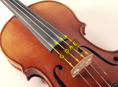 小提琴琴弦