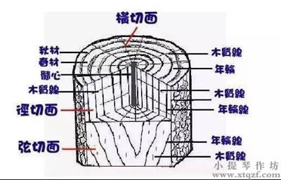 tiqincailiaojuqiefangfa