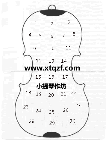 大提琴背板厚度尺寸图表