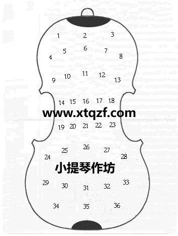 中提琴制作背板厚度尺寸图表