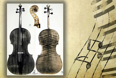 斯特拉迪瓦里 1701 大提琴『SERVAIS』图纸