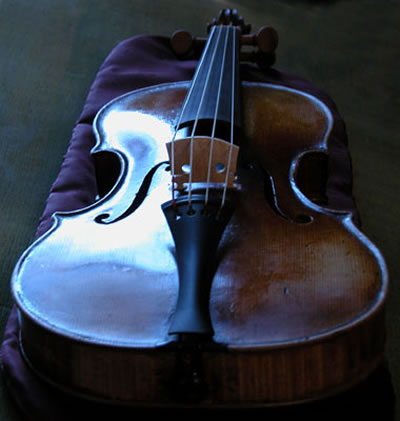 jianongpaoquanshen