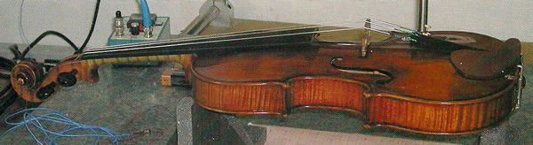 tiqinshenfucishi