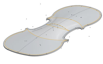 tiqinzhentizhendong