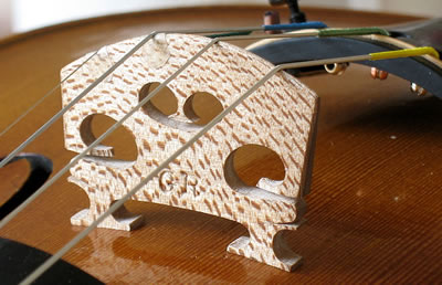 小提琴琴码木材与木质改性处理