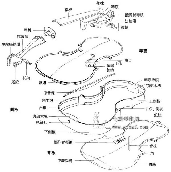 小提琴结构详细图