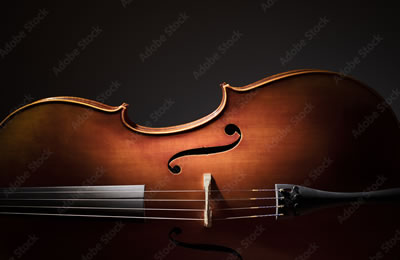 小提琴的音色类型与表现对象的关系